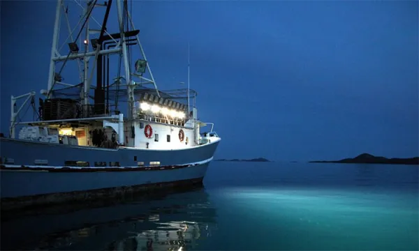 Một số mẫu đèn pha LED cho tàu đánh cá phổ biến nhất hiện nay