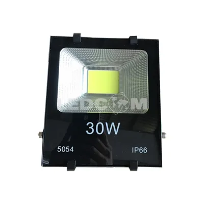 Đèn pha LED MS2.4, chip COB, ánh sáng trắng 30W